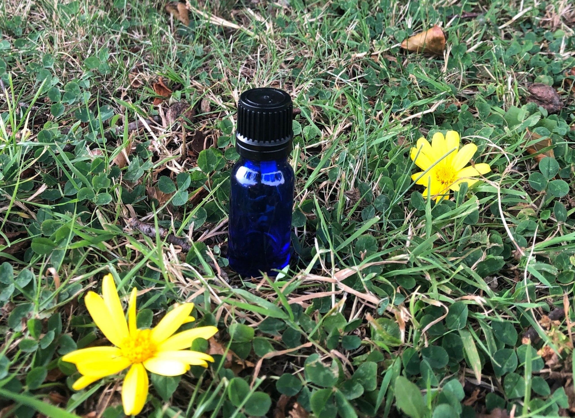 Blue Glass Bottles- 10ml