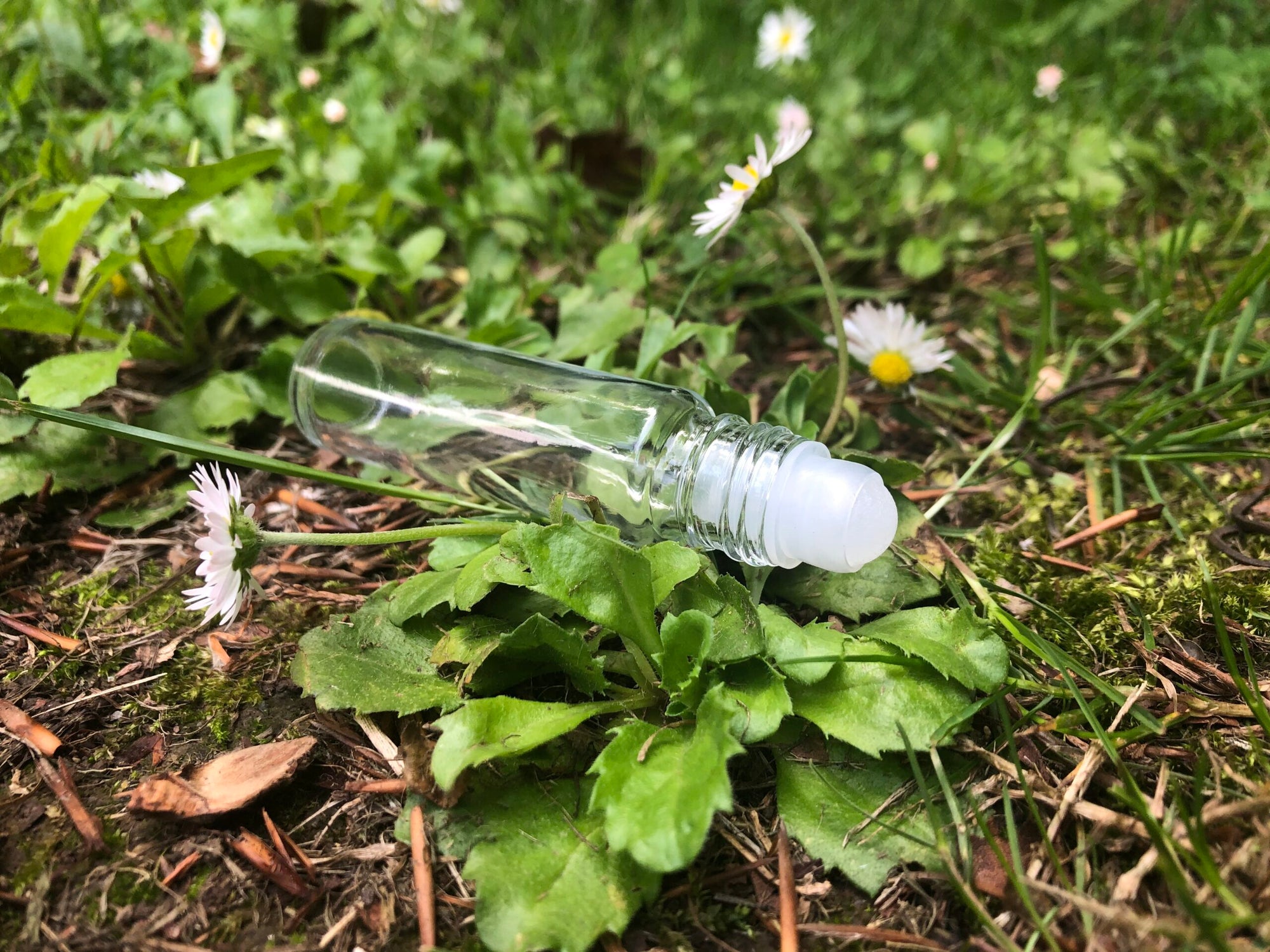 Clear Glass Roller Bottle (plastic roller) 10ml