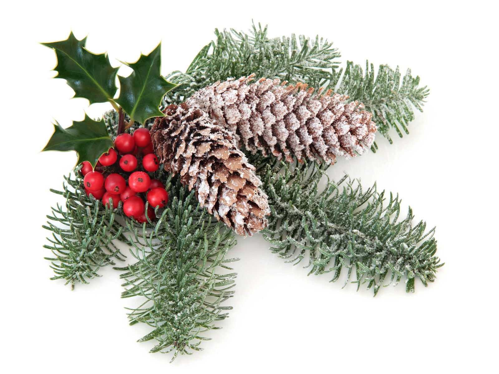 Candle, Diffuser & Soap Fragrance Snowkissed fir & Mistletoe