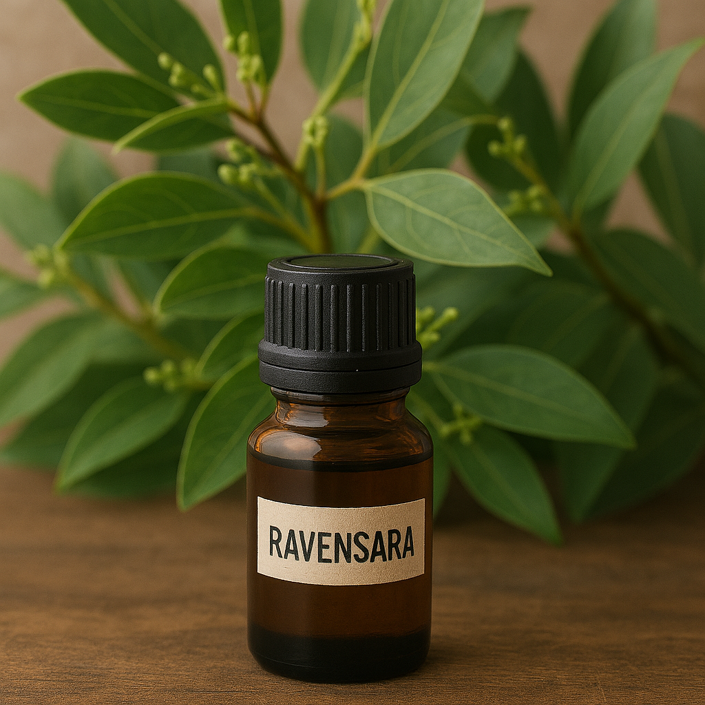 Ravensara Oil