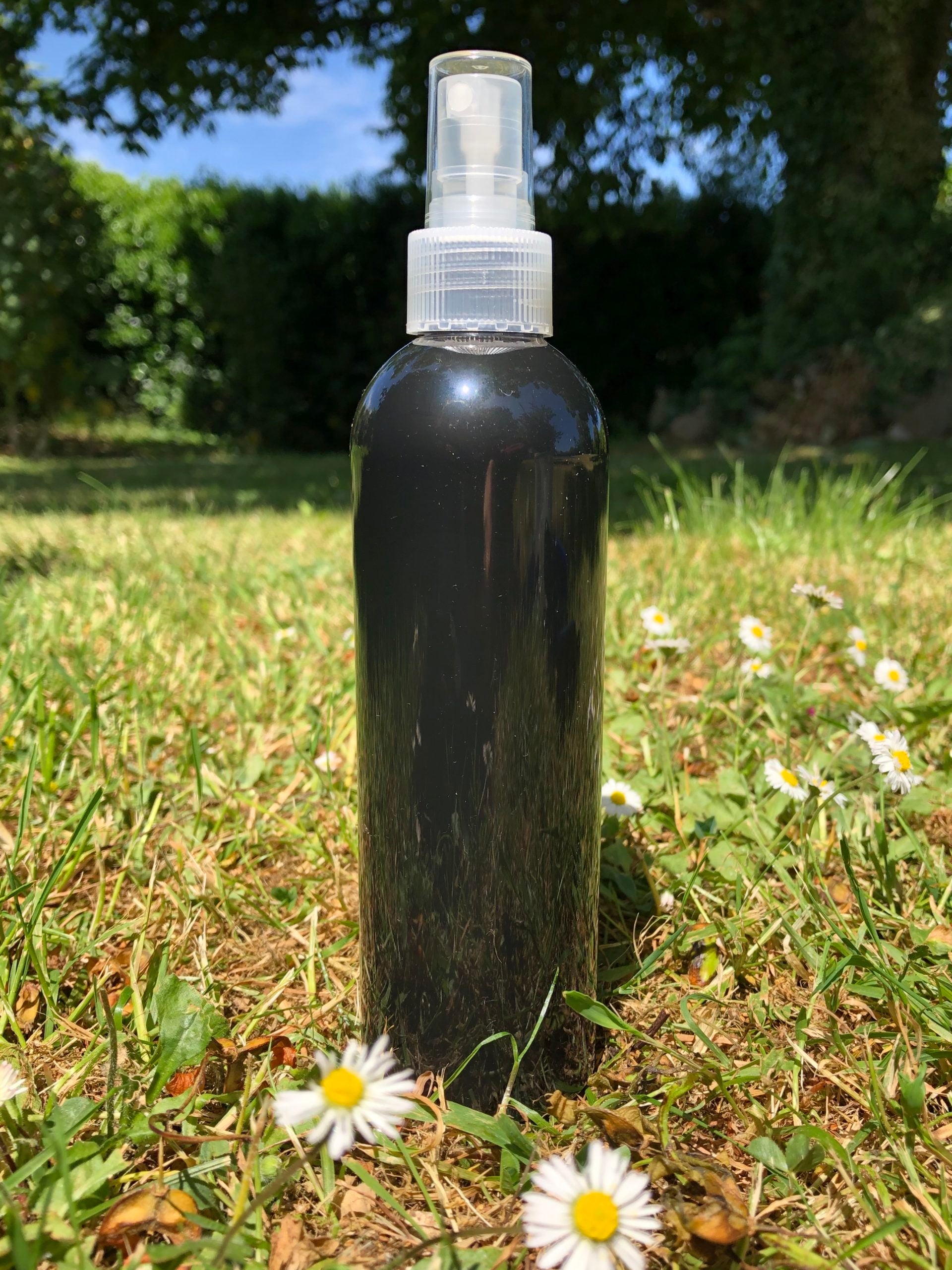 Black PET 250ml Tall bottle (with spray)