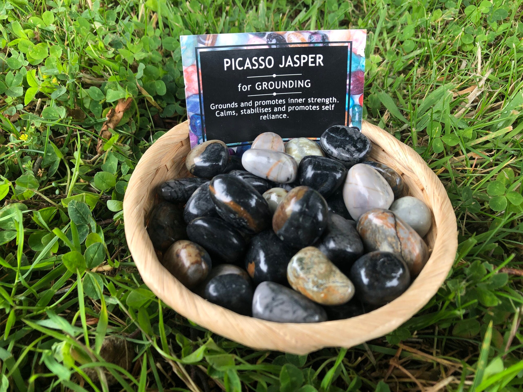 Jasper Picasso