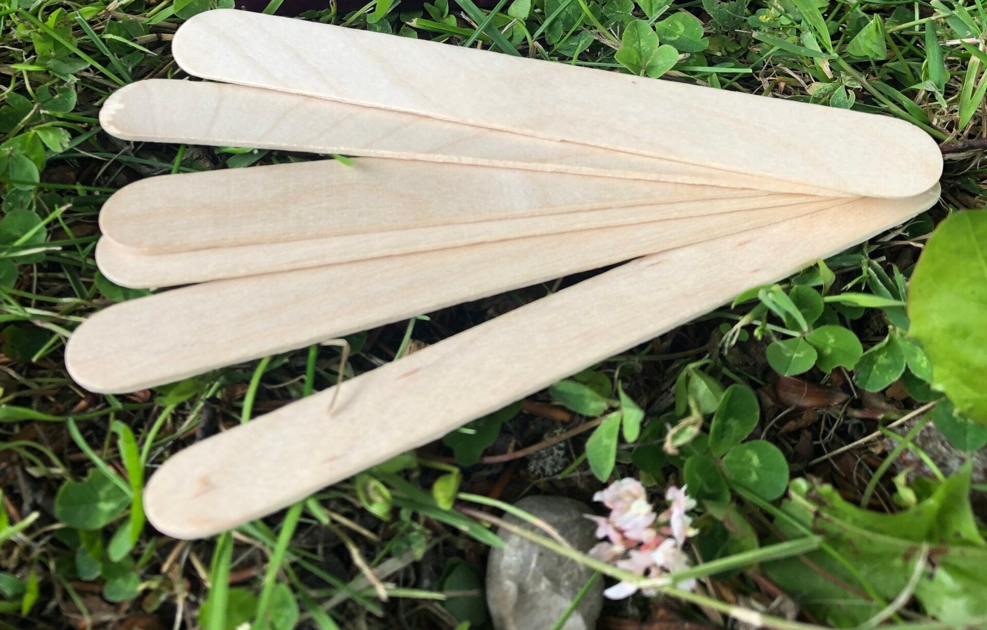 Hive Disposable Wooden Waxing Spatulas (100)