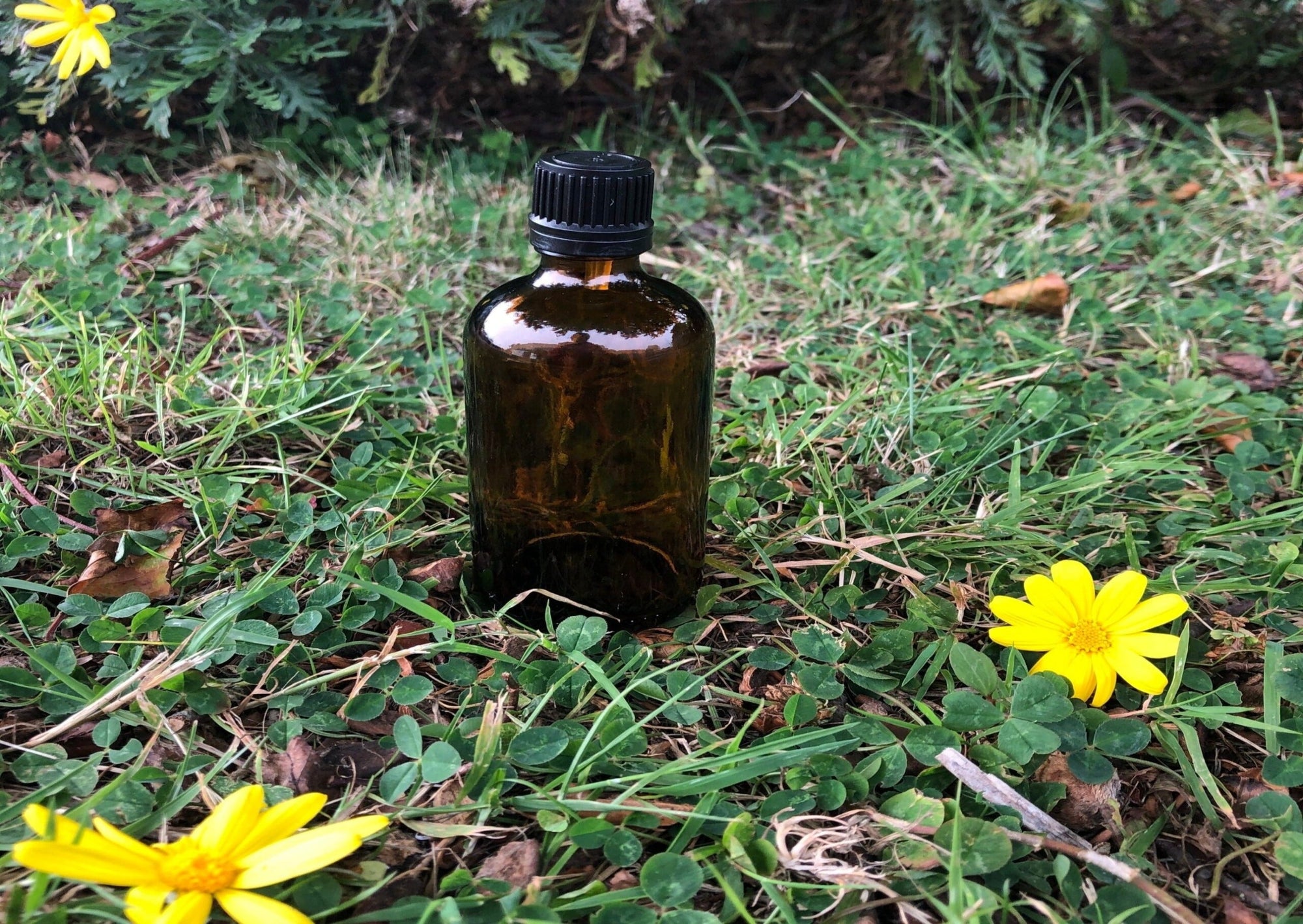 100 ml Amber Glass Bottle (GL18 Narrow neck)