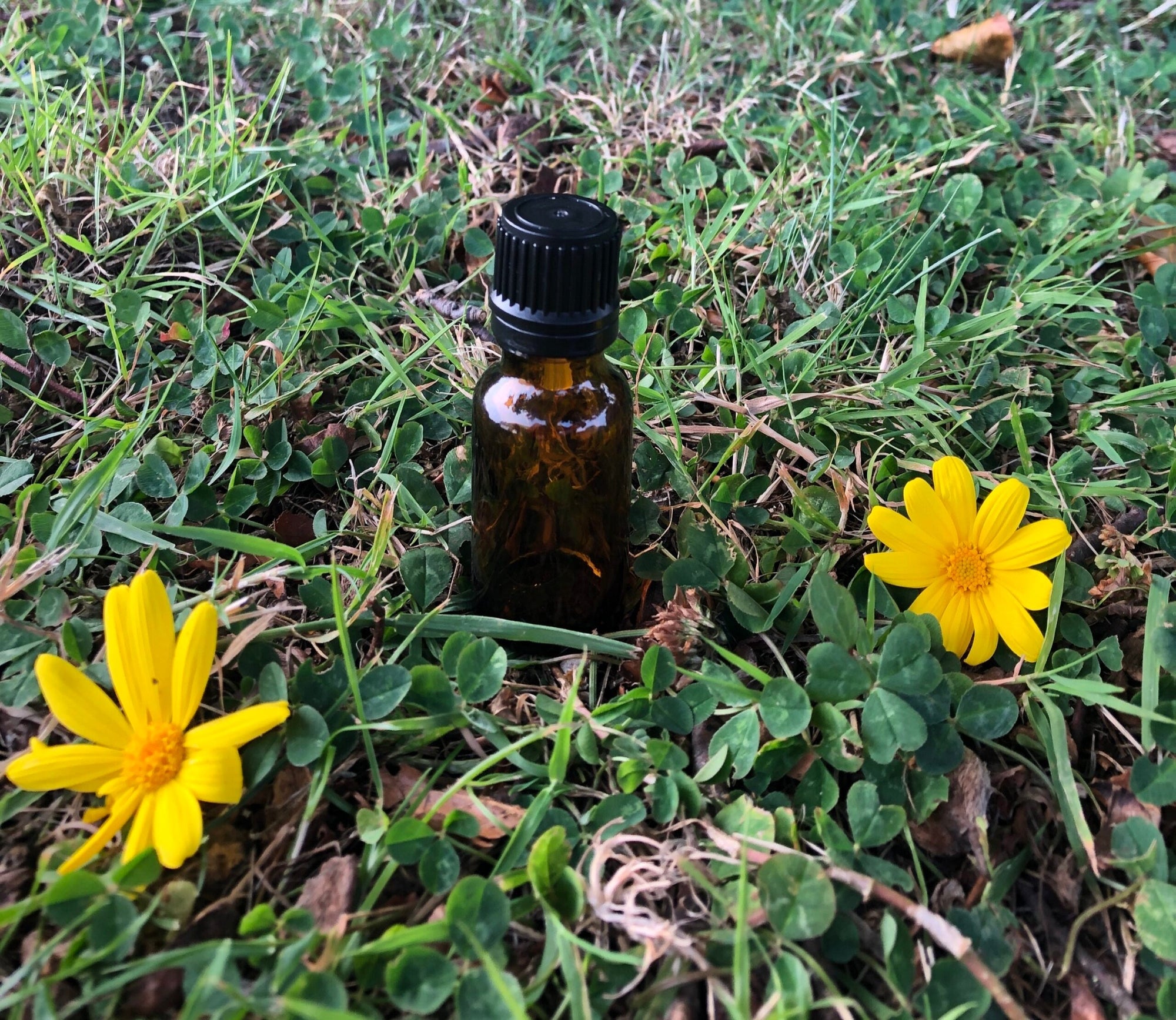 15 ml Amber Glass Bottle (Narrow neck)