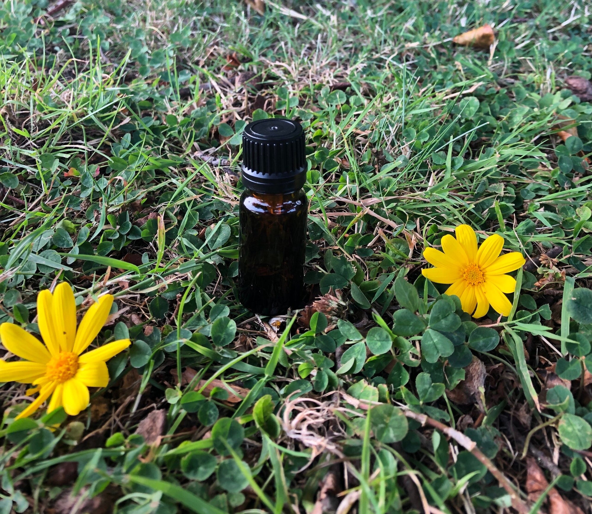 10 ml Amber Glass Bottle (GL18 Narrow neck)