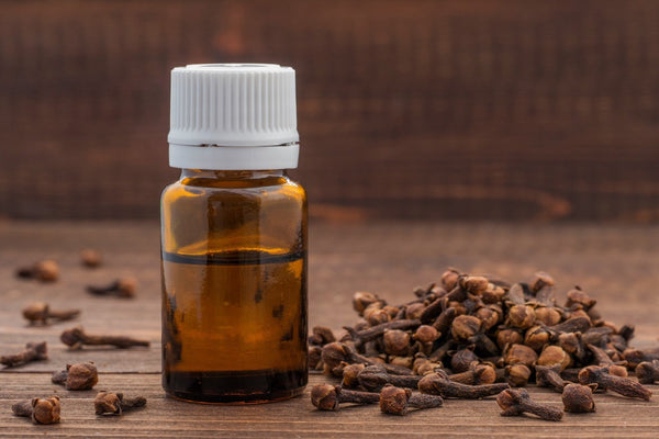 What Is Clove Essential Oil Good For In A Diffuser