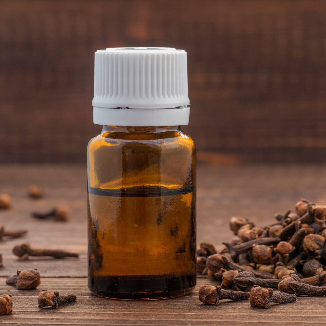 Clove Bud Oil (Organic)