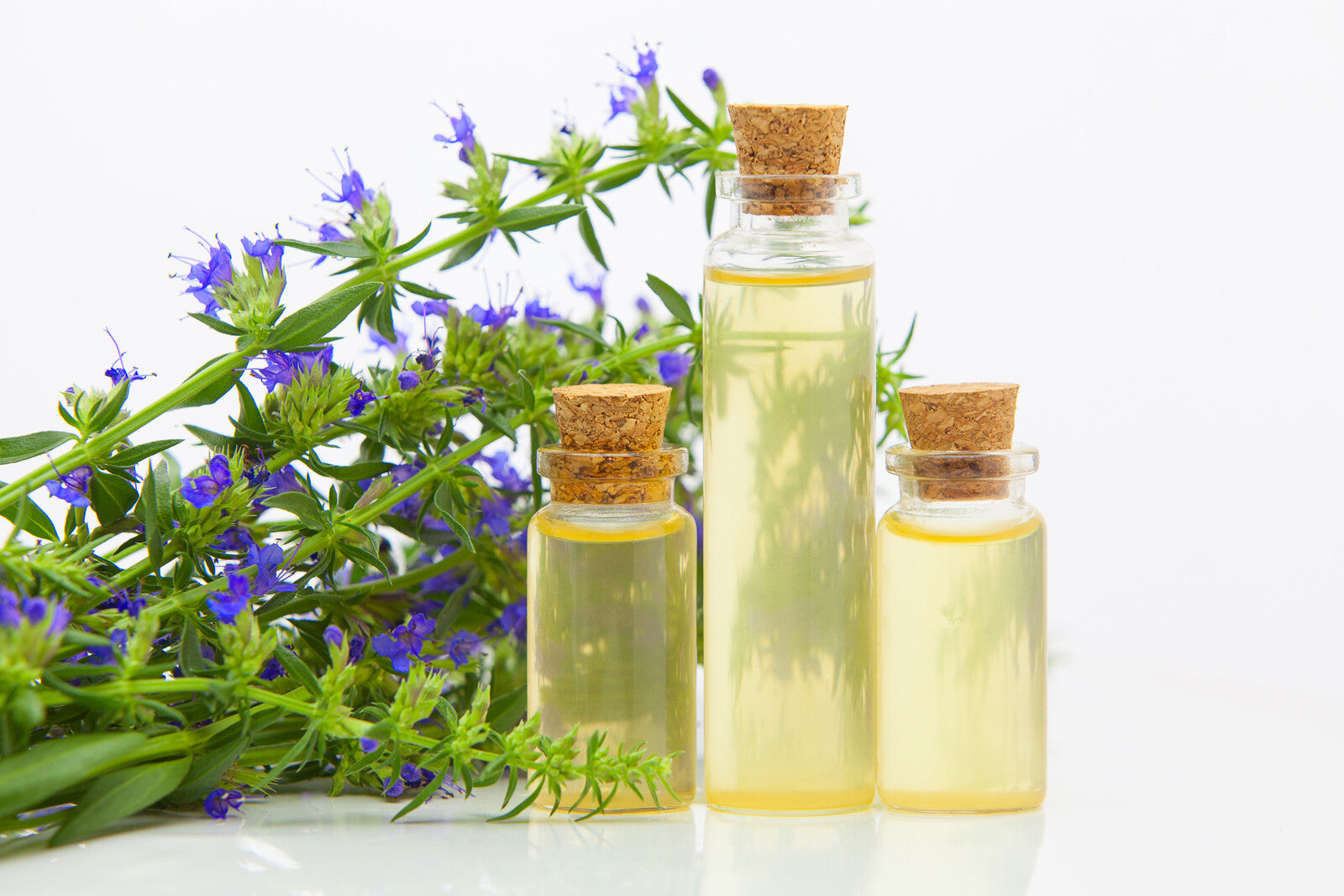 Hyssop Oil 10ml