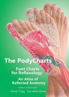 The PodyCharts foot charts for reflexology : An atlas of reflected anatomy : 1