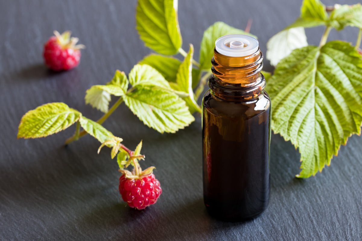 Raspberry Seed Oil (Cold Pressed) — Bomar Aromatherapy